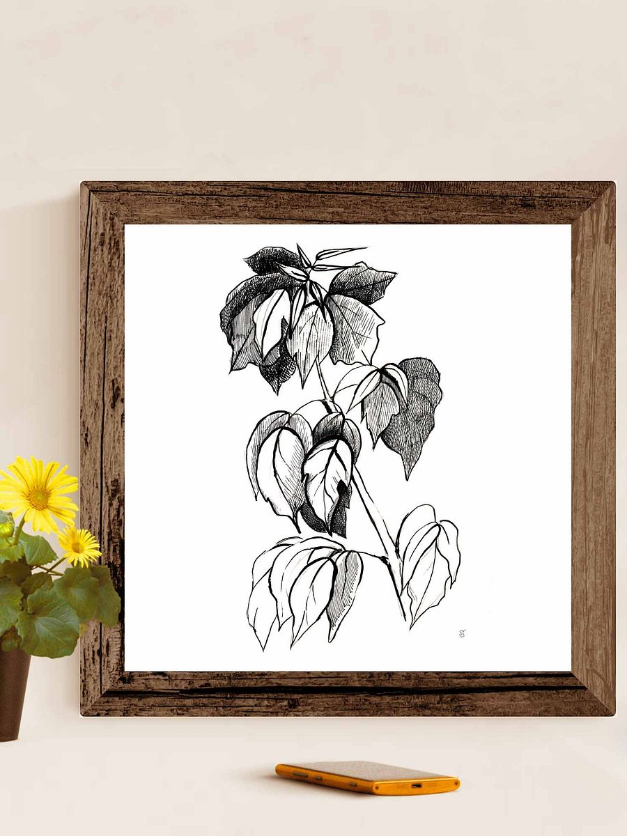 Botanical Line Art Canvas Print - Stylish Graphical Twig product image (7)