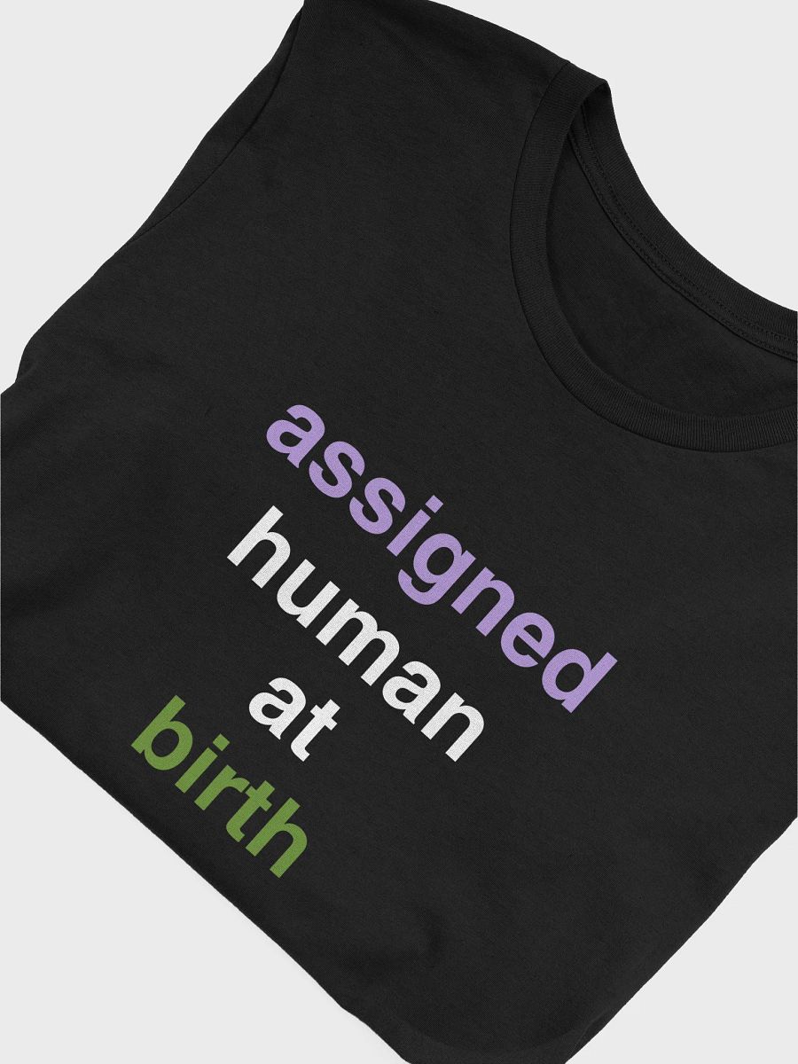 assigned human at birth genderqueer t-shirt product image (5)