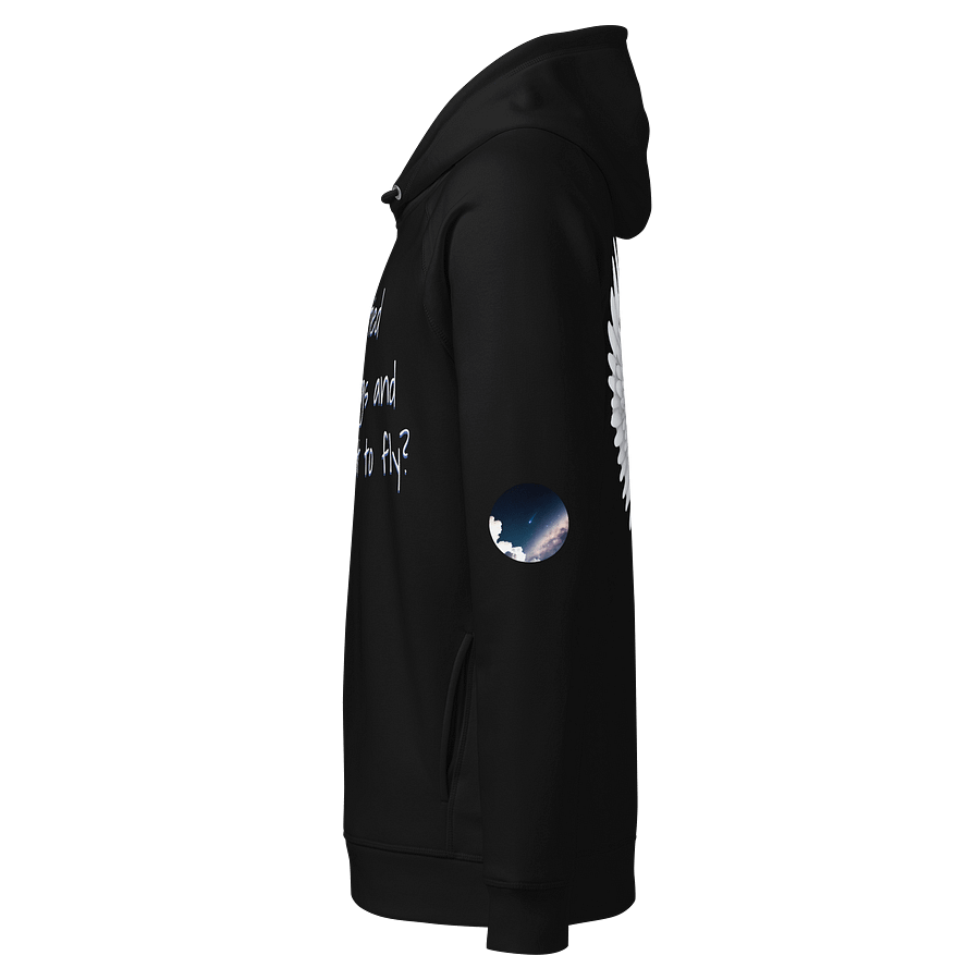 DO IT ALL Stanley/Stella Wings Unisex Organic Side Pocket Hoodie product image (4)