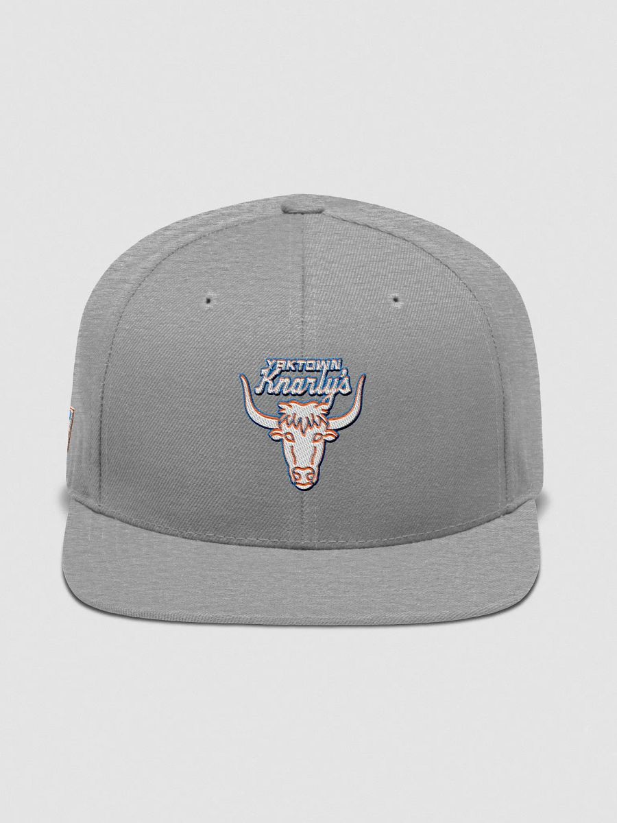 Yaktown Knarly's Embroidered Snapback (Heather Grey) product image (1)