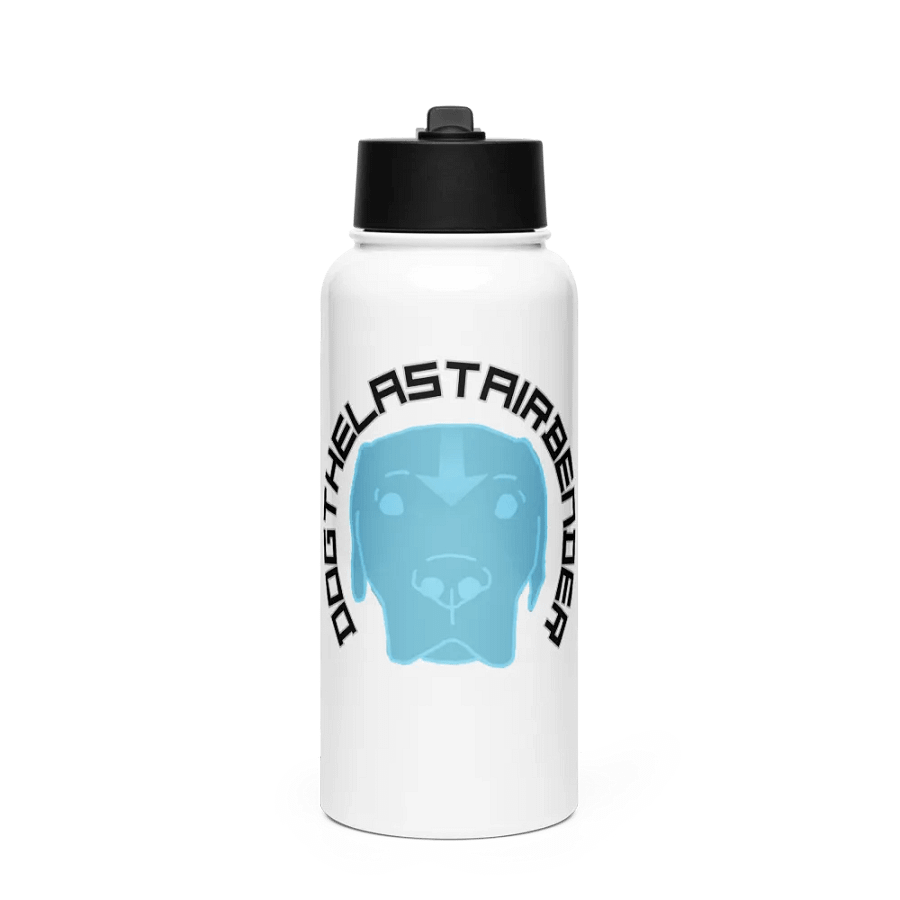 DTLA stainless steel waterbottle product image (1)