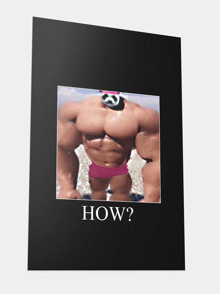 Peak Performance Meme Poster! product image (3)