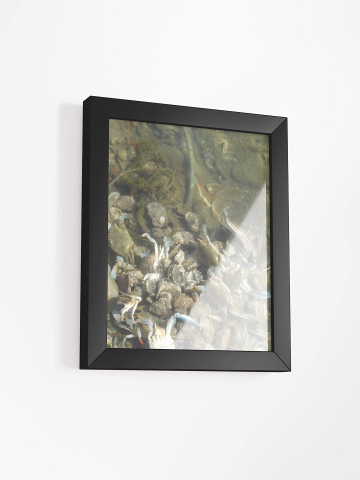 Murky Marine Life Framed Poster product image (19)