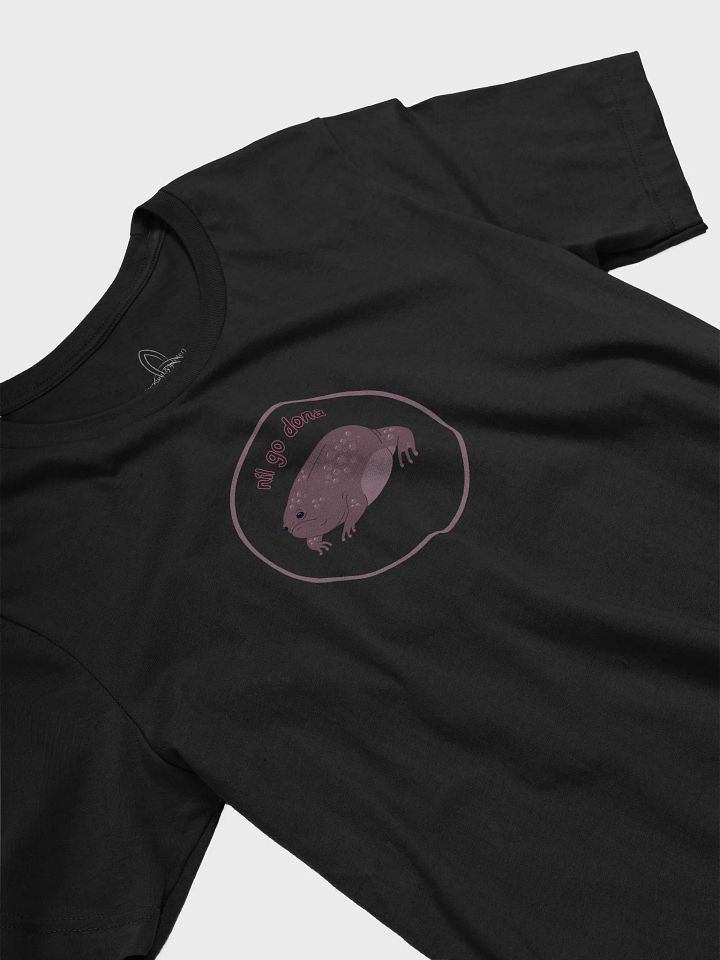 Níl Go Dona (Not Bad) Desert Rain Frog T-shirt product image (2)