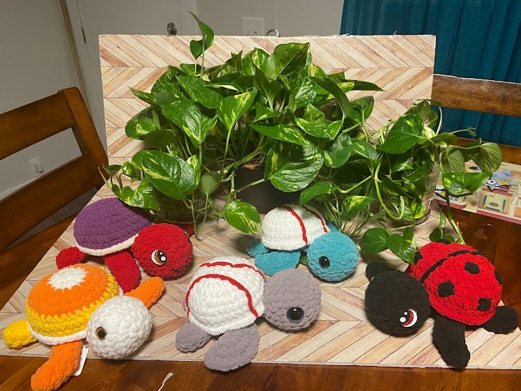 Sea Turtle product image (4)