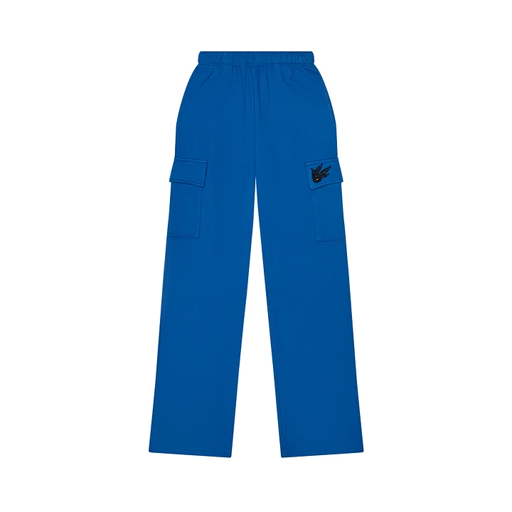 Royal Blue NPC Cargo Pants product image (1)
