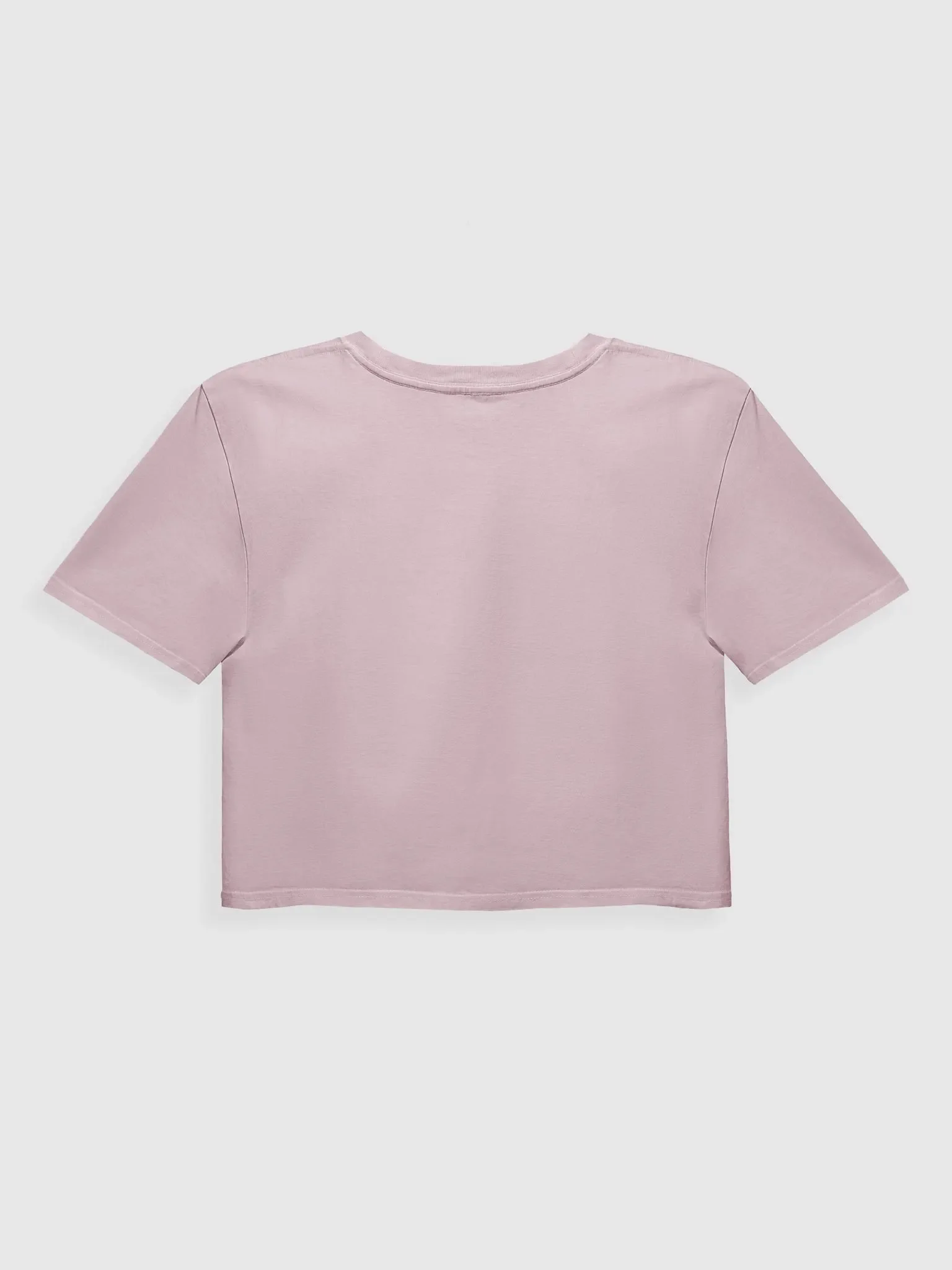 Close Your Mouth No Come In Flies Women's Tee product image (40)