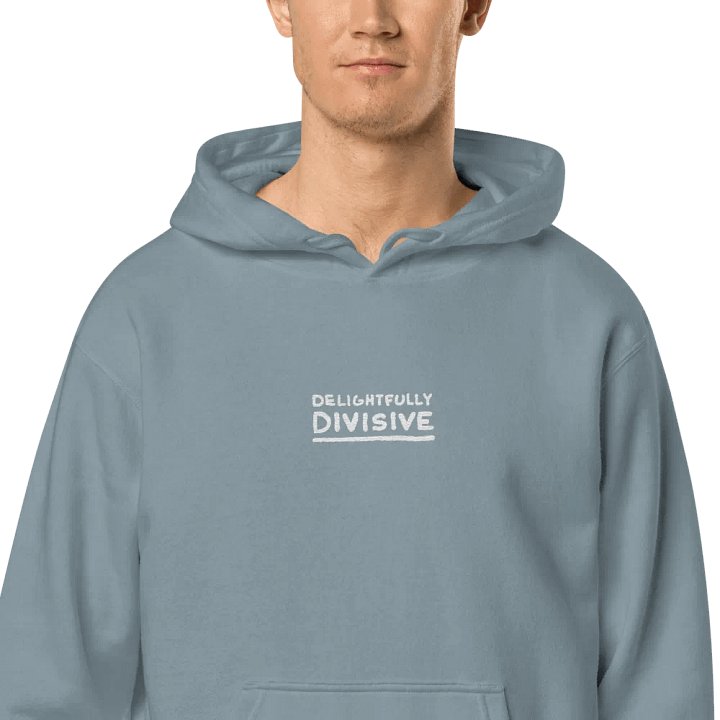 DELIGHTFULLY DIVISIVE (center, white design) embroidered pigment hoodie product image (57)