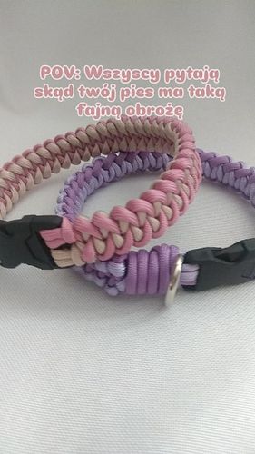 Od Pawfect Doggie Collars, no bo skąd!😅

#obrożadlapsa #akcesoriadlapsa #handmadedogcollar #dogcollars #dogcollarshandmade #d...