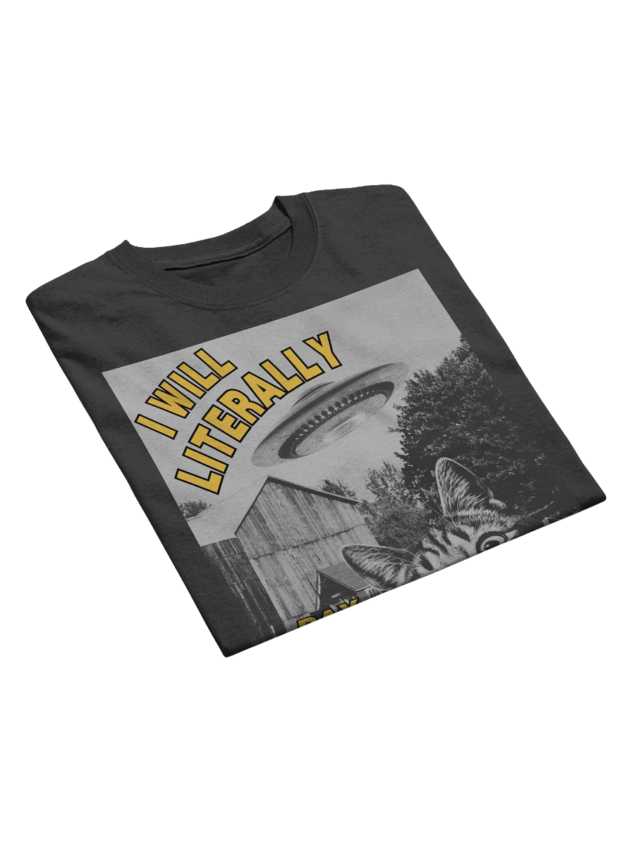 I Will Literally Pay You To Abduct Me T-Shirt product image (5)