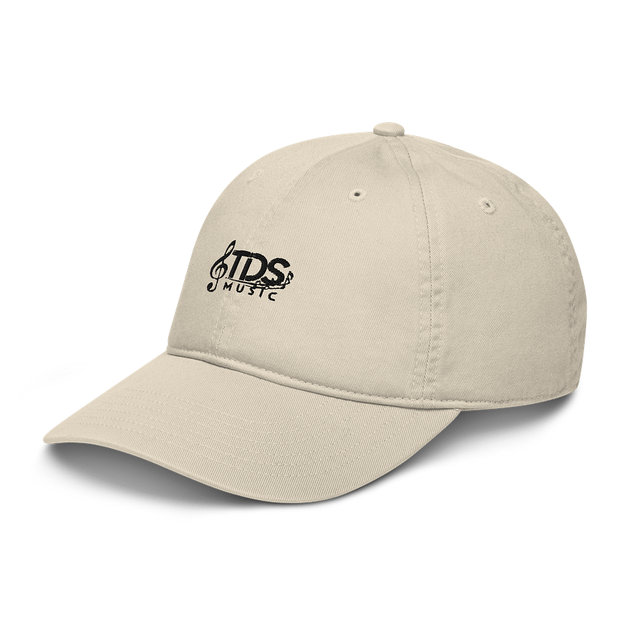 Econscious Organic Dad Hat - Exclusive TDS Music Design with Treble Clef product image (4)