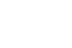 Witness | Survival FPS Broadcaster