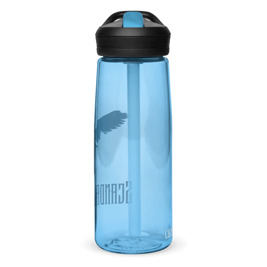 Scandalous Angel's Water Bottle product image (17)