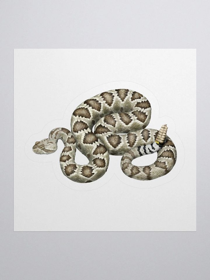 Die-Cut Sticker – Mojave Rattlesnake product image (1)