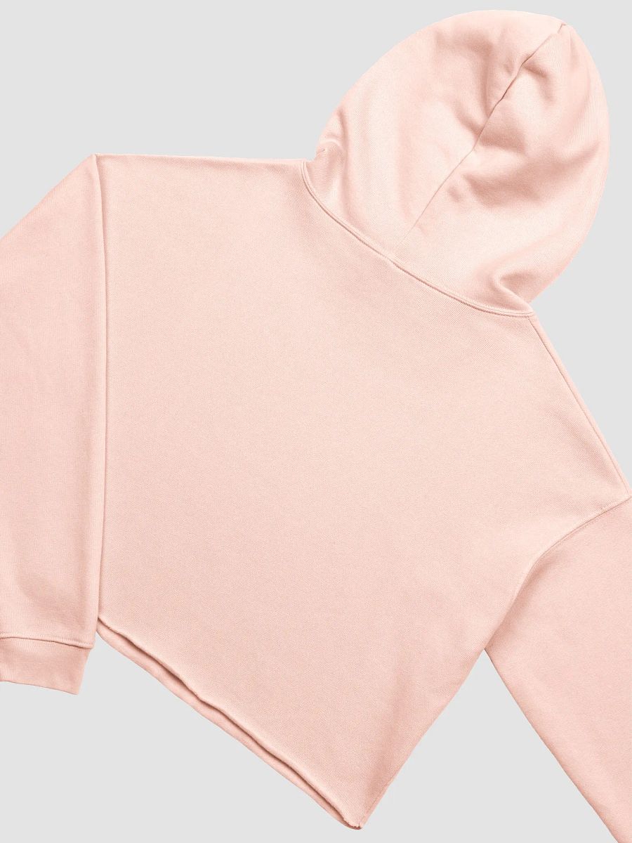 Thoughtvolutionist Crop Hoodie product image (7)
