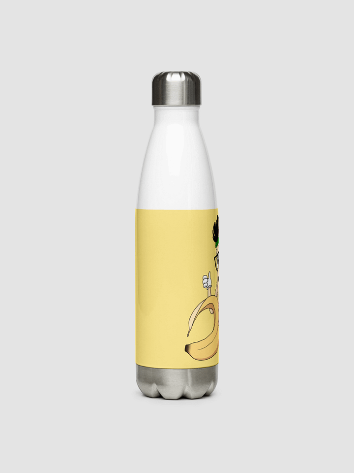 Stainless Steel Water Bottle -2 product image (2)