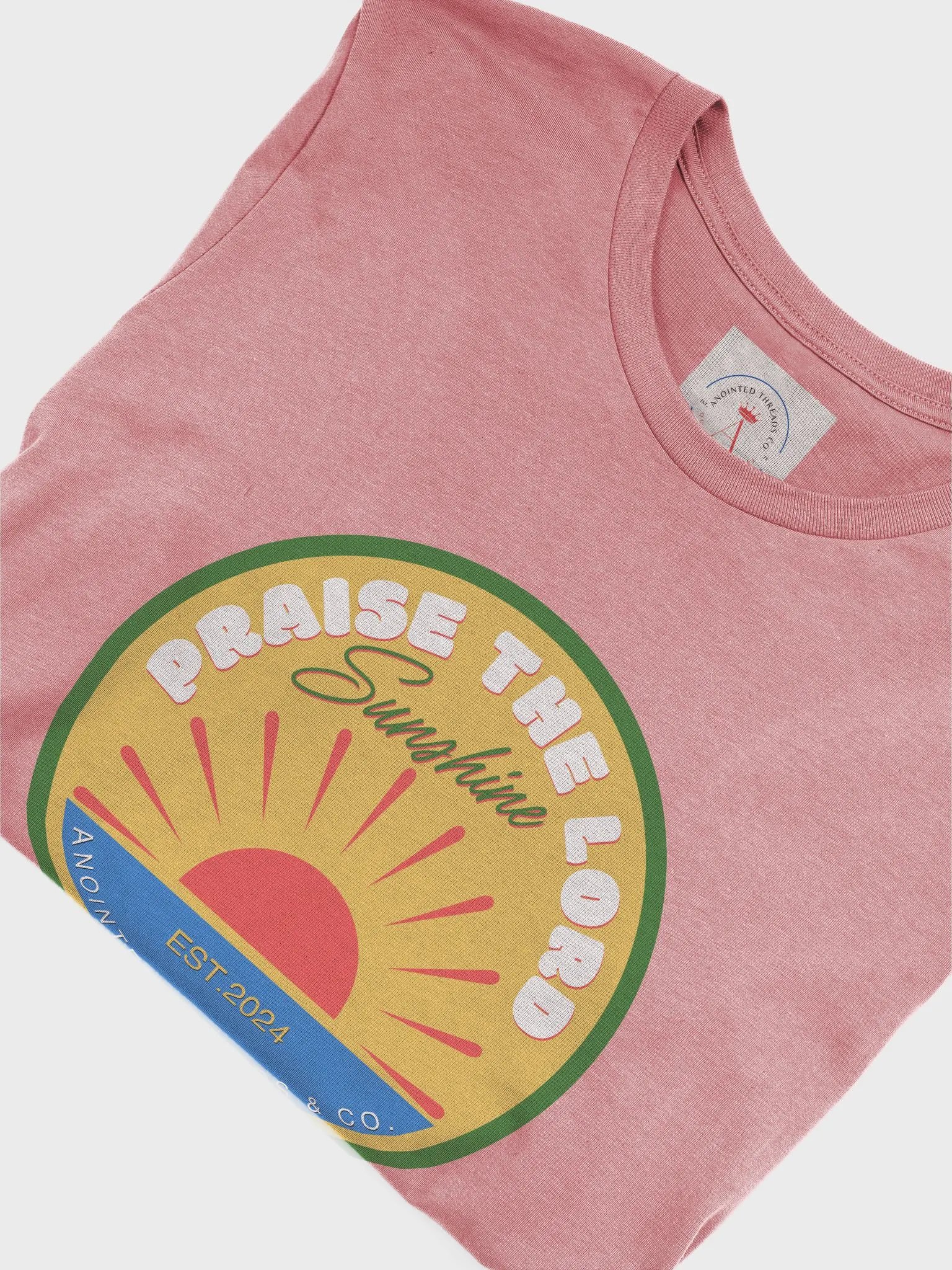 Praise the Lord Sunshine T-Shirt product image (85)
