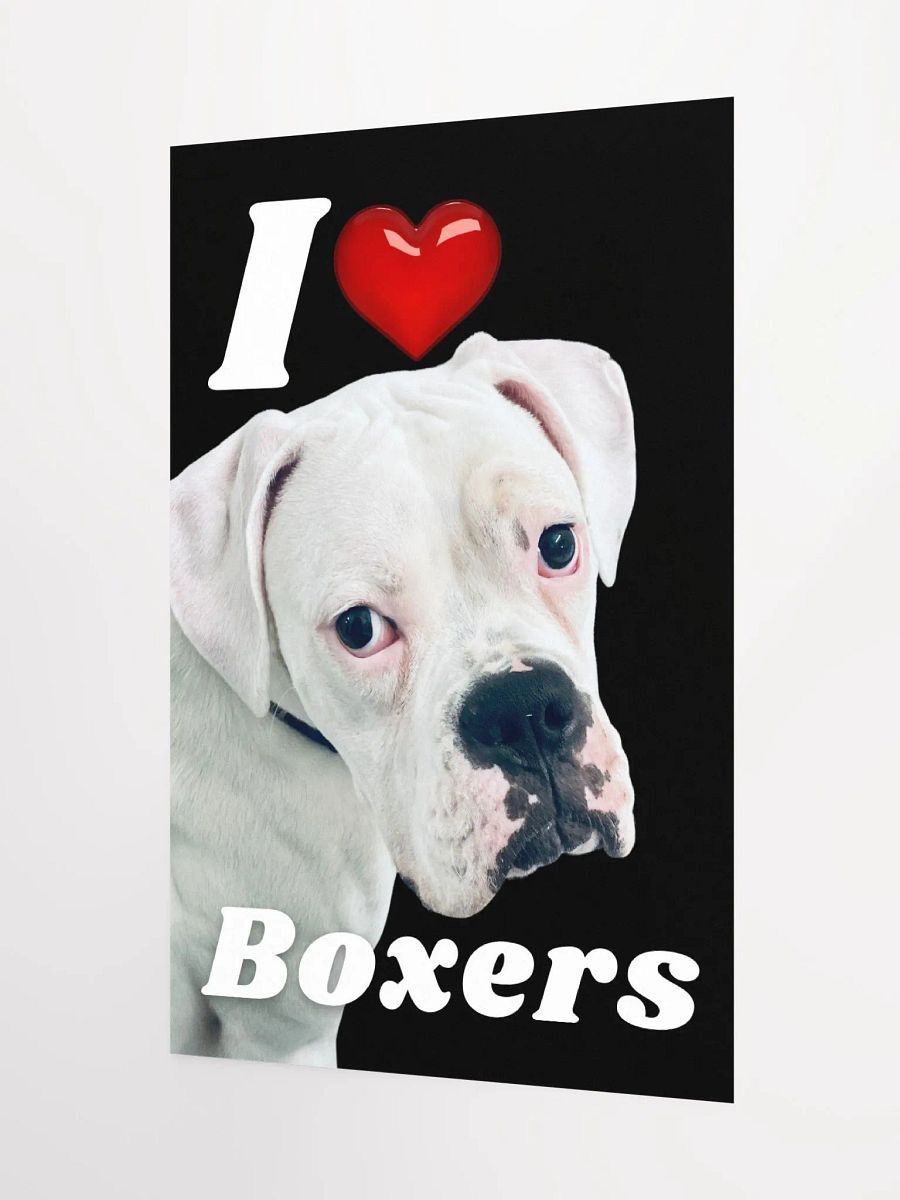I Heart Boxers Poster product image (3)