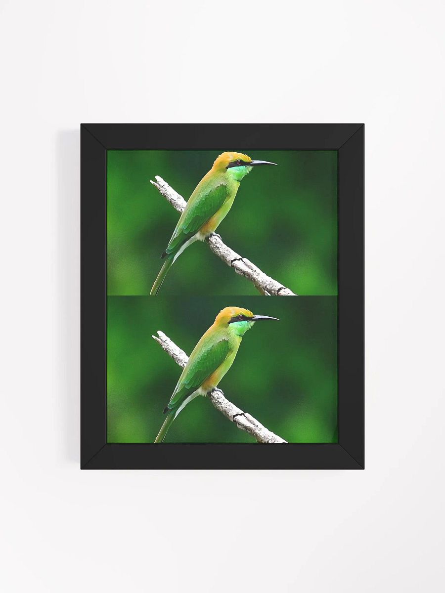 Framed High-Quality Matte BIrds Poster product image (10)