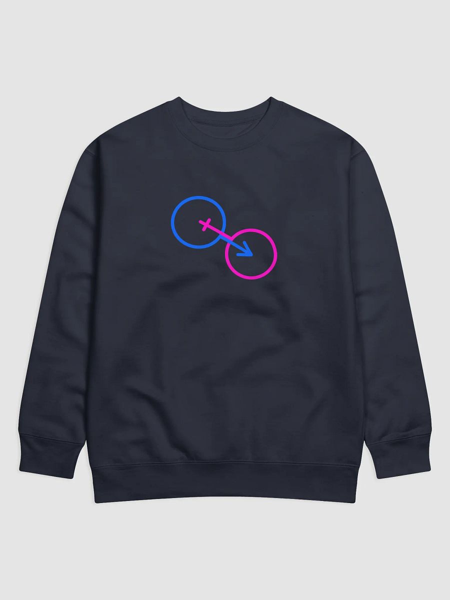 Connected Male & Female Premium Sweatshirt product image (1)
