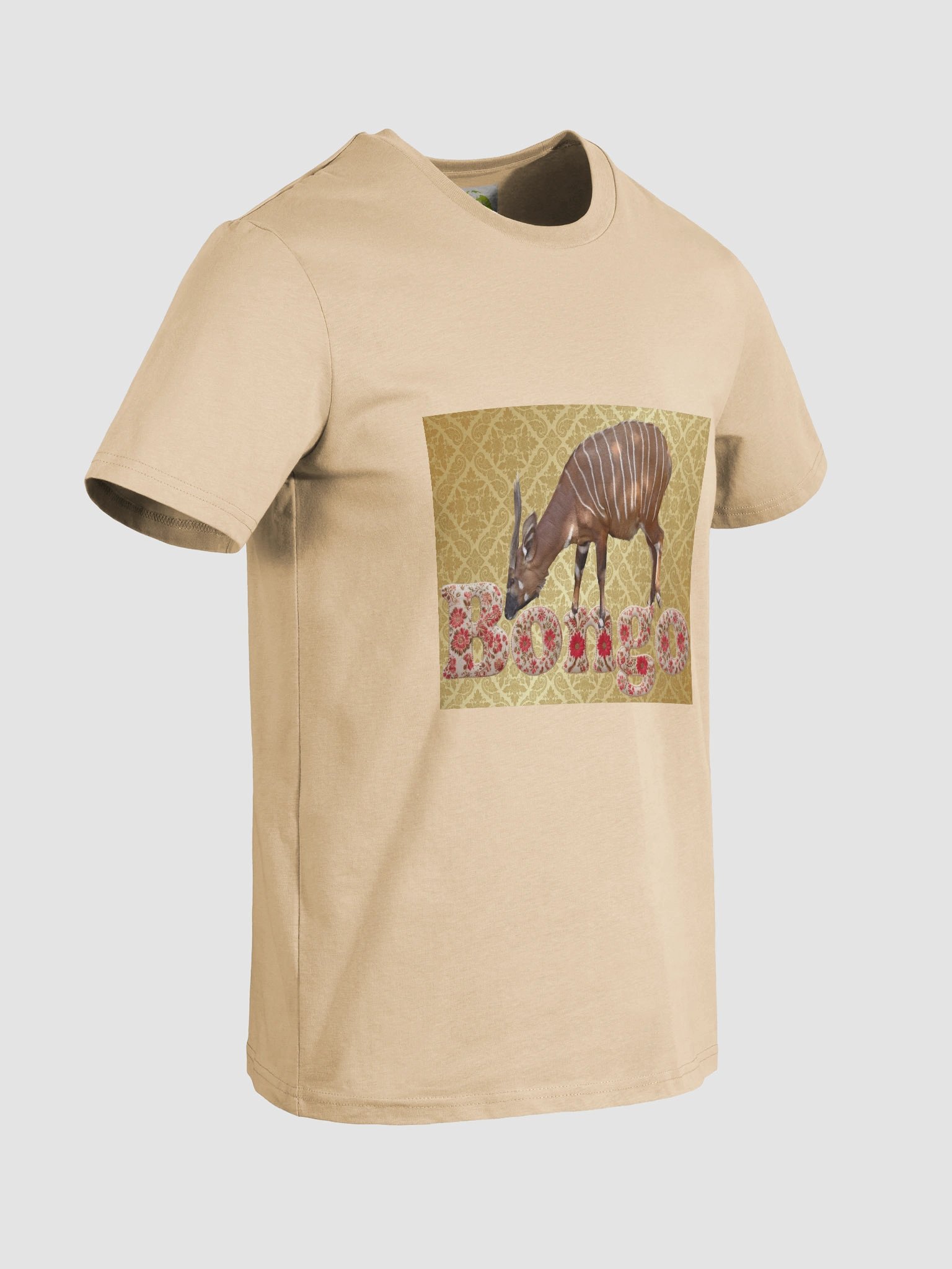 Bongo Organic Cotton T-Shirt product image (2)