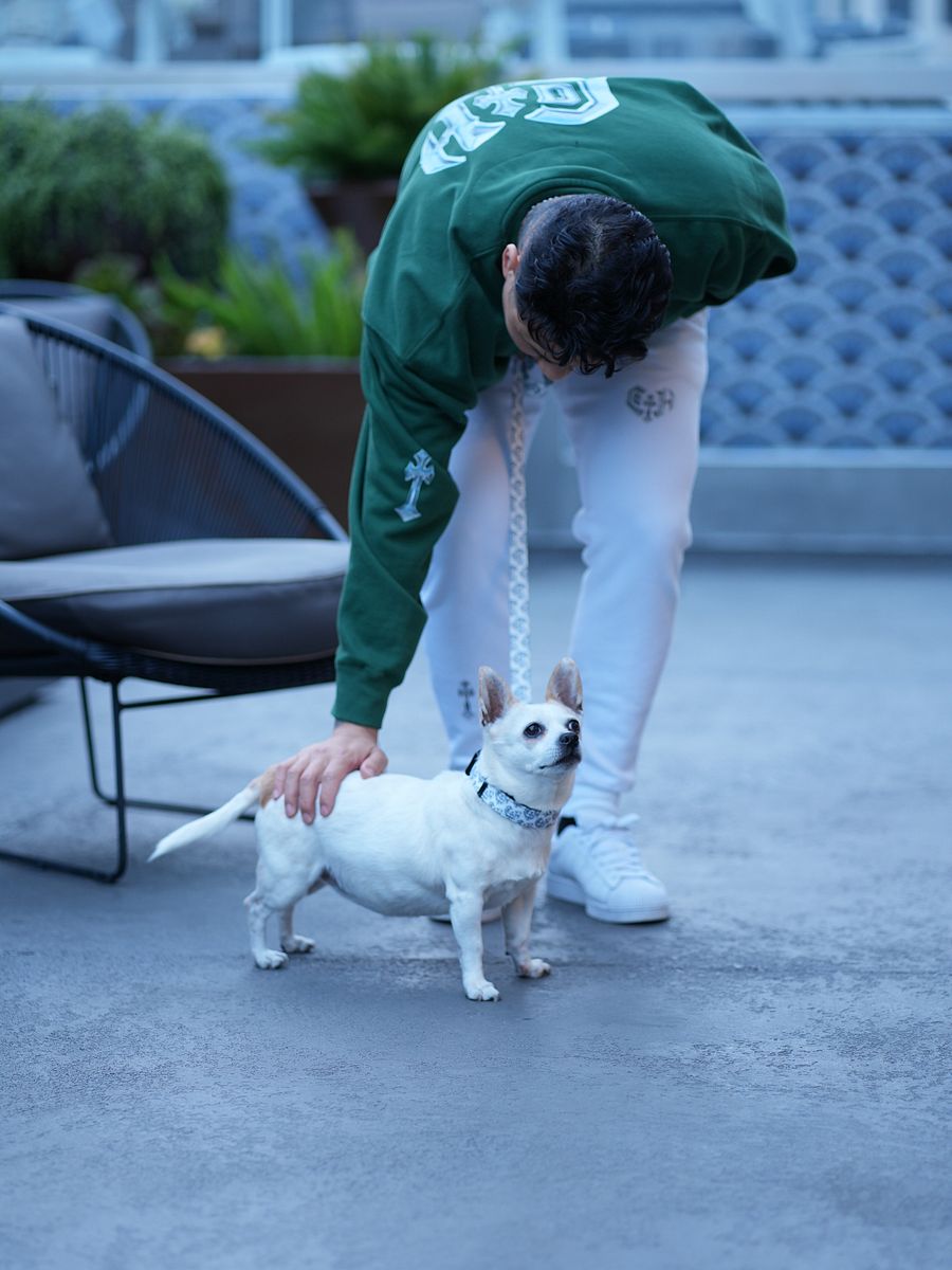leash product image (3)