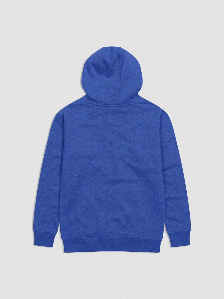 Allegedly Hoodie product image (2)