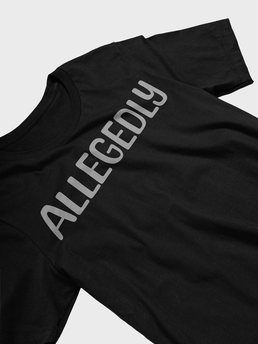 ALLEGEDLY Stylized T-Shirt product image (3)