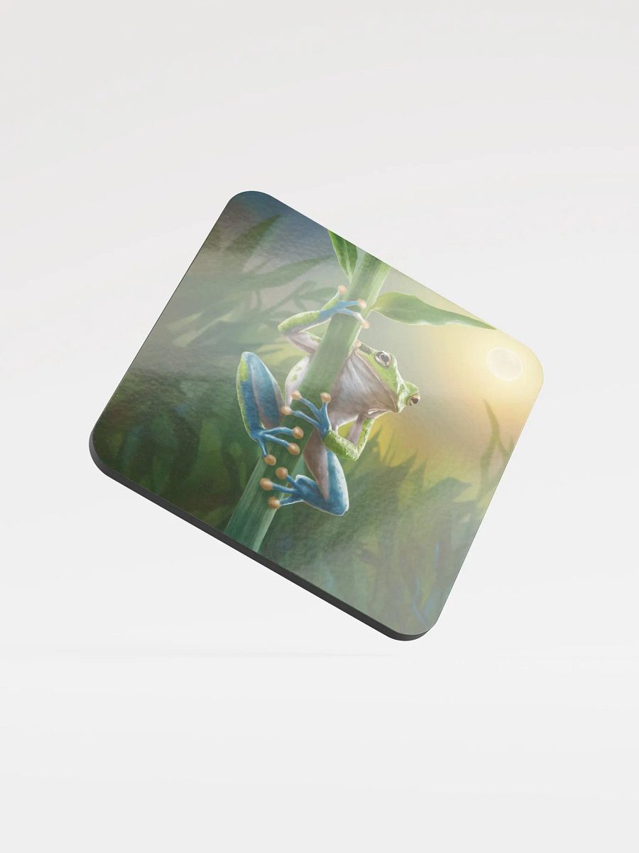 Tree Frog Coaster Sunny product image (1)