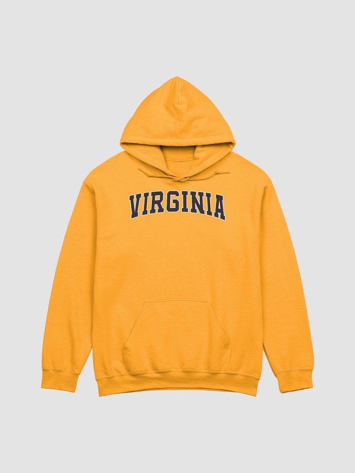 Virginia Vintage Stylish Classic Hoodie product image (1)
