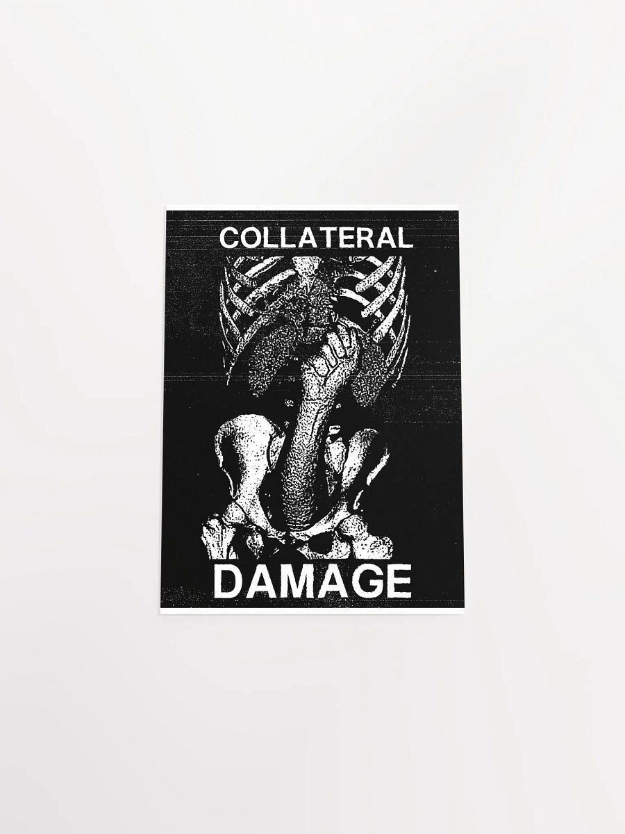 COLLATERAL DAMAGE product image (41)