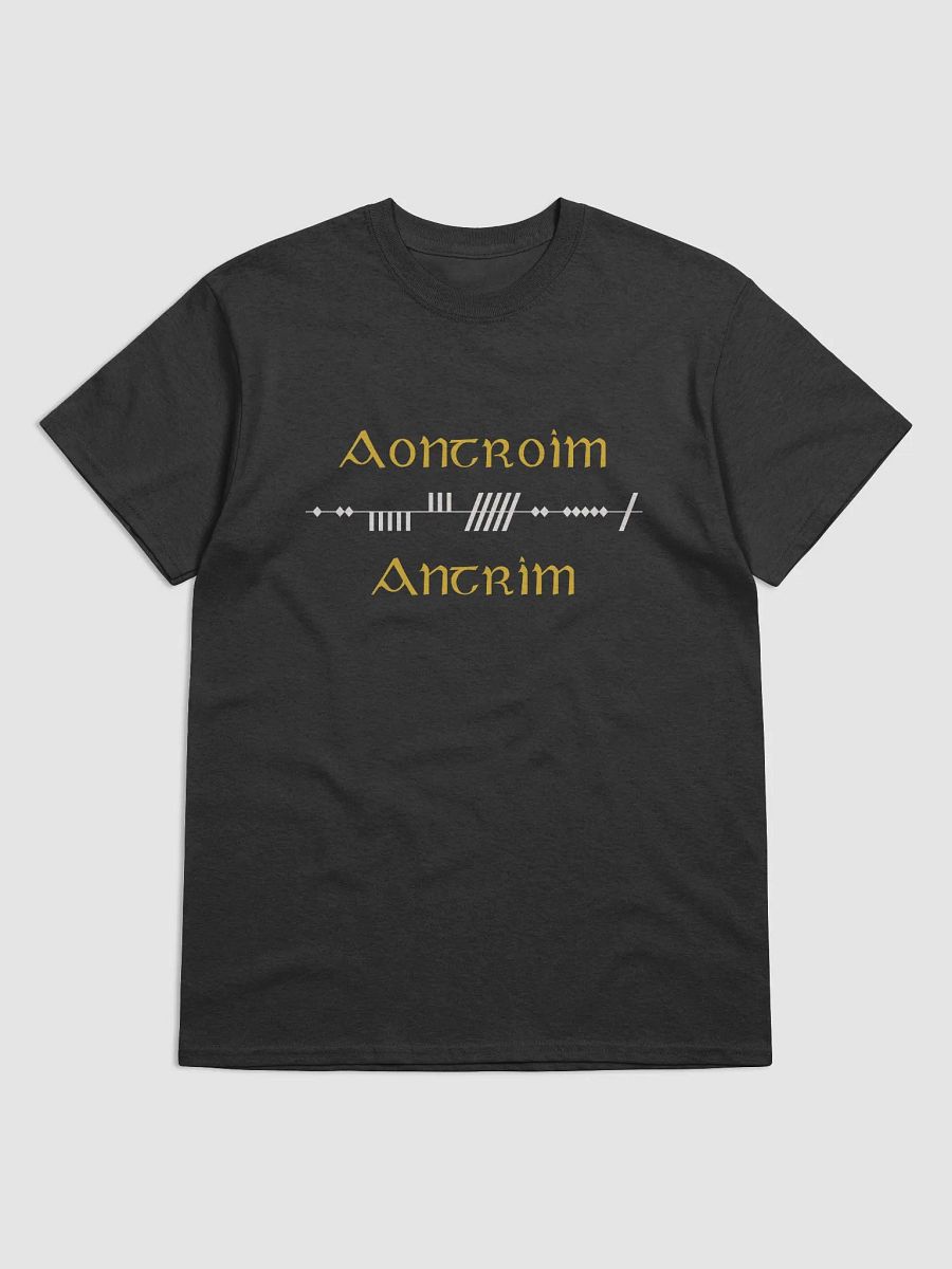 Antrim/Aontroim Scholastic style Ogham Printed T-shirt product image (1)