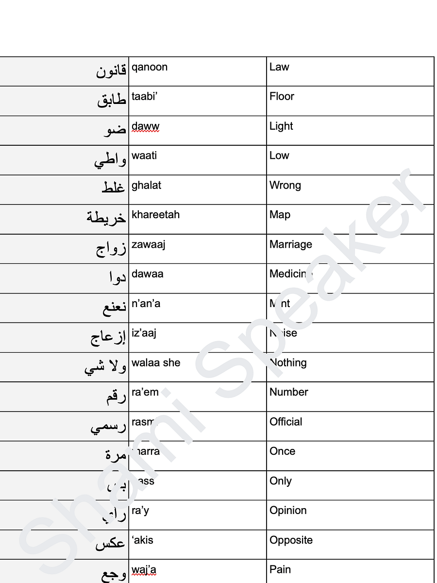 Ultimate Everyday Vocabulary in Levantine Arabic product image (4)