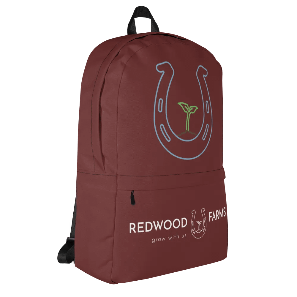 Back packs product image (5)