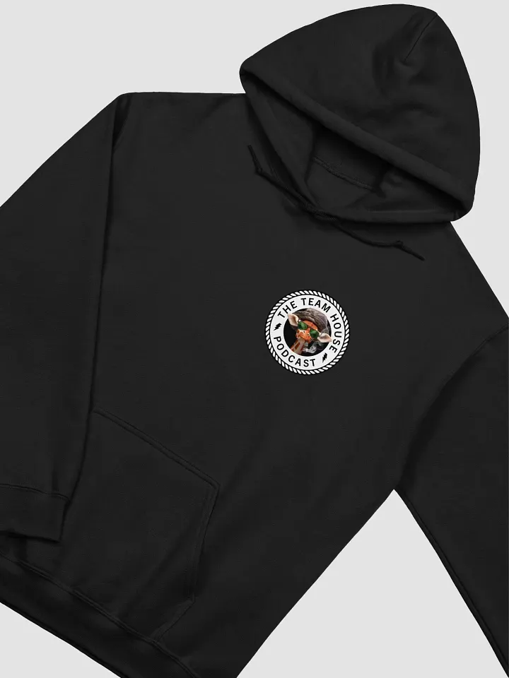 TEAM HOUSE HOODIE product image (2)