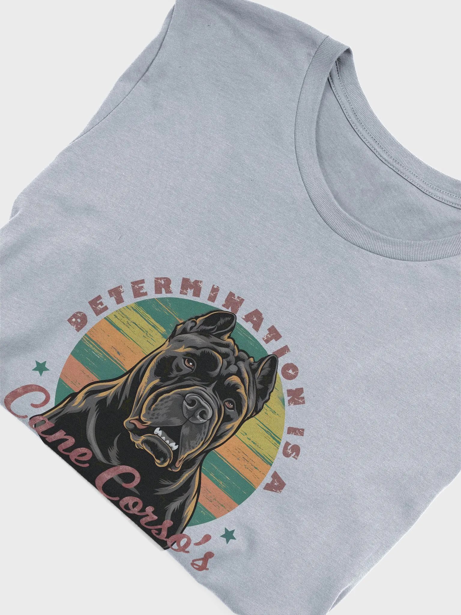 Determination is a Cane Corso's Middle Name – Embrace the Power & Strength of this Loyal Breed product image (3)