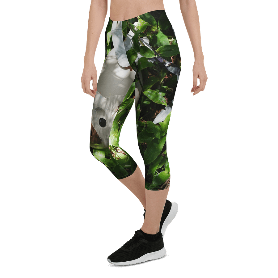 Flying Pig Leggings product image (6)