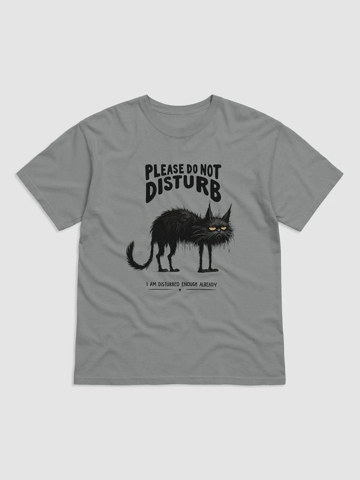 PLEASE Don't Disturb I'm Already Disturbed Enough Already" T-shirt 2 product image (2)