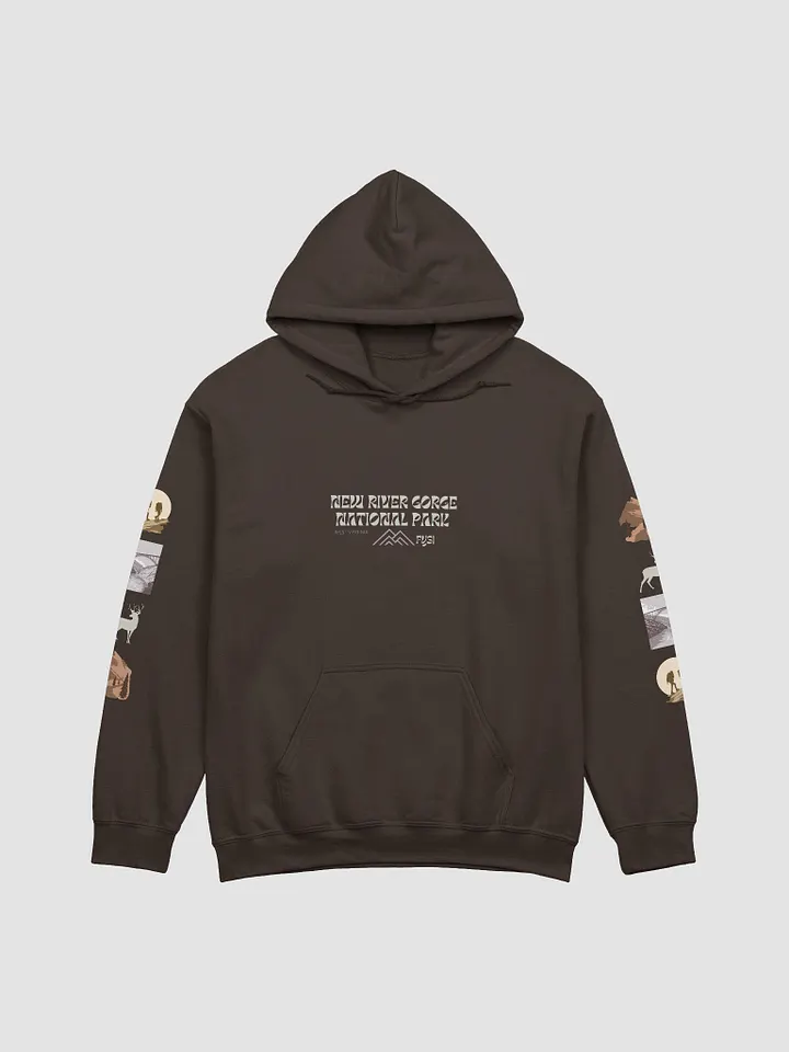 New River Gorge classic organic hoodie product image (1)