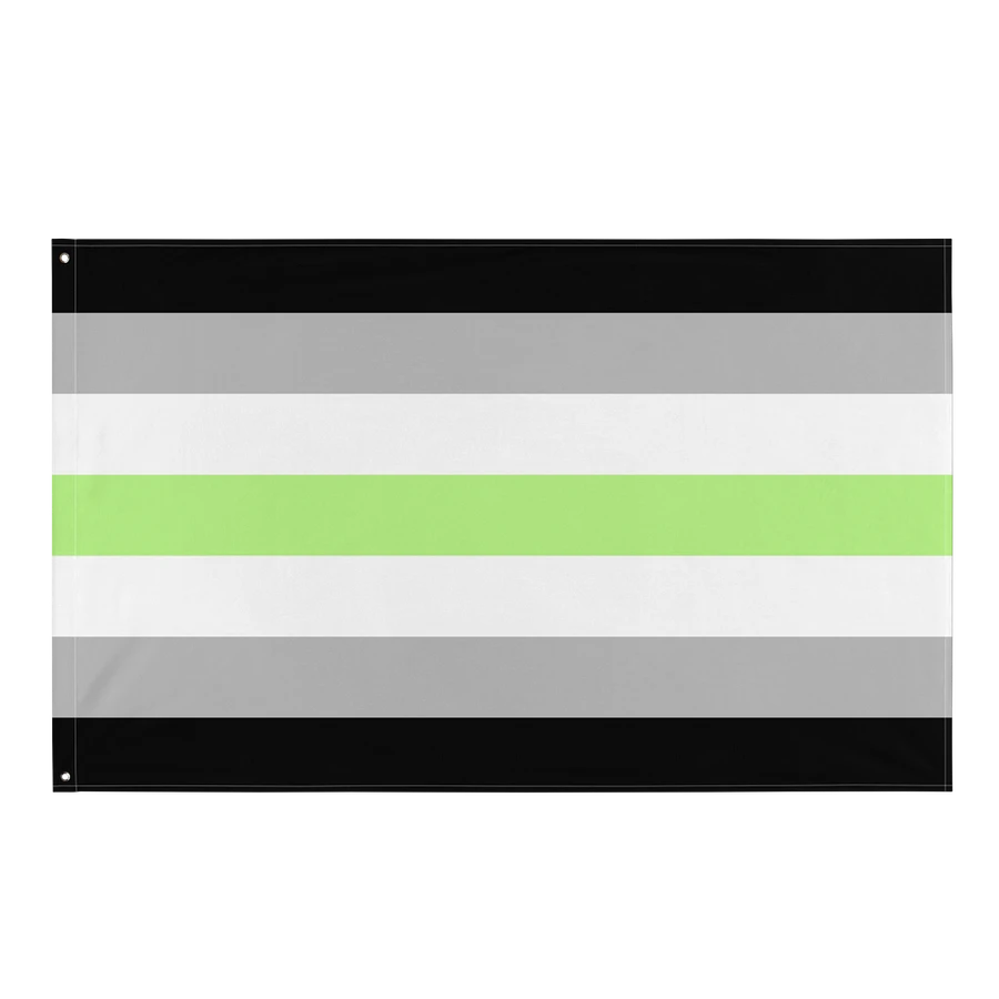 Agender Pride Flag product image (1)