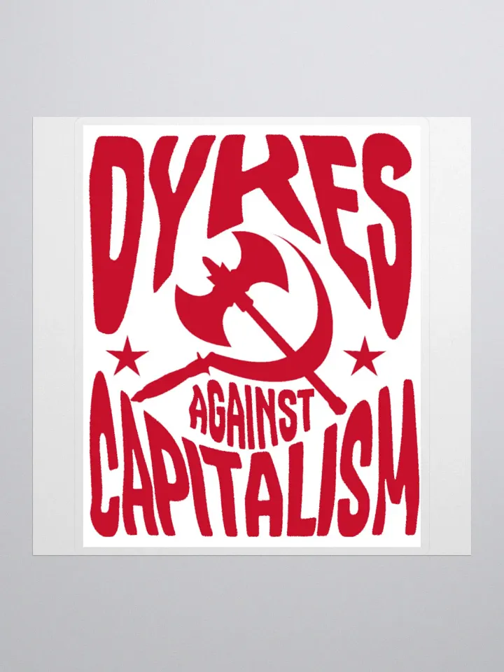 D**** AGAINST CAPITALISM product image (2)