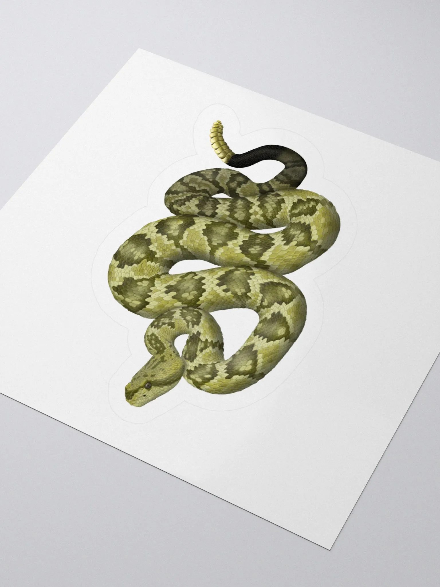Die-Cut Sticker – Blacktailed Rattlesnake (Desert Phase) product image (3)