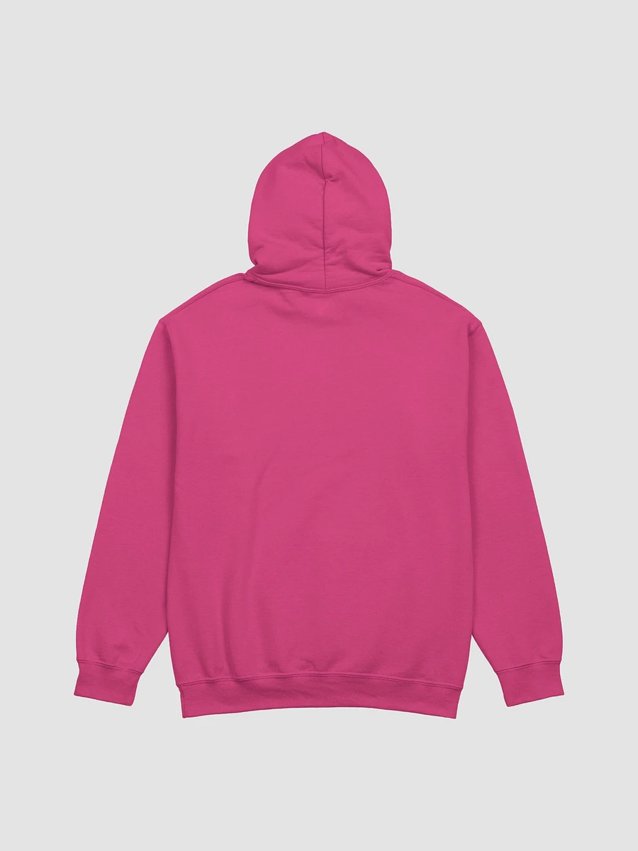 Not Low Quality Unisex Hoodie - bold colours product image (11)