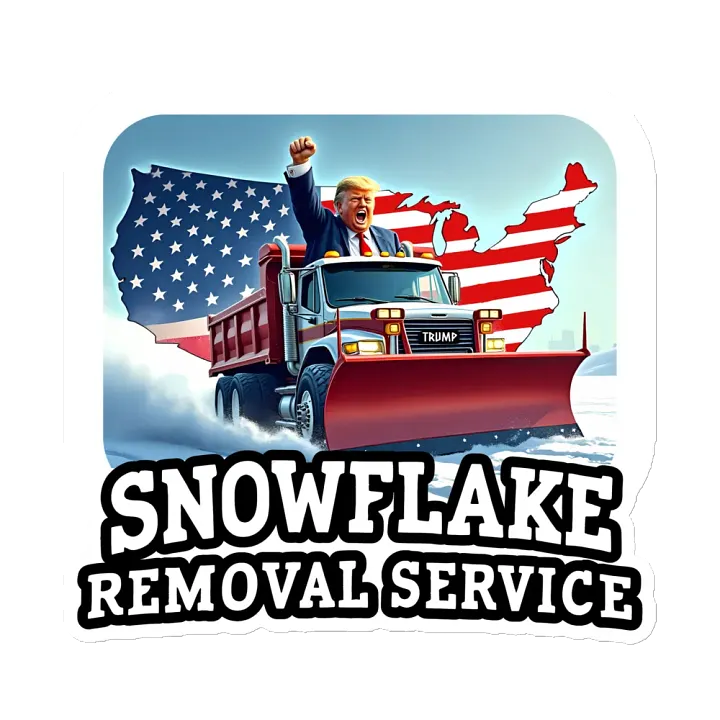 Magnet: Snowflake Removal product image (2)