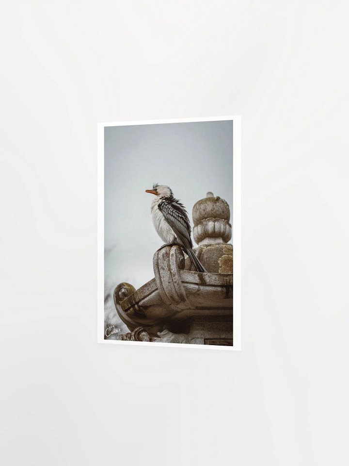 Patience - Print product image (2)