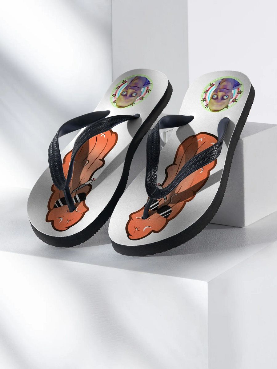 FlipFlops! product image (1)