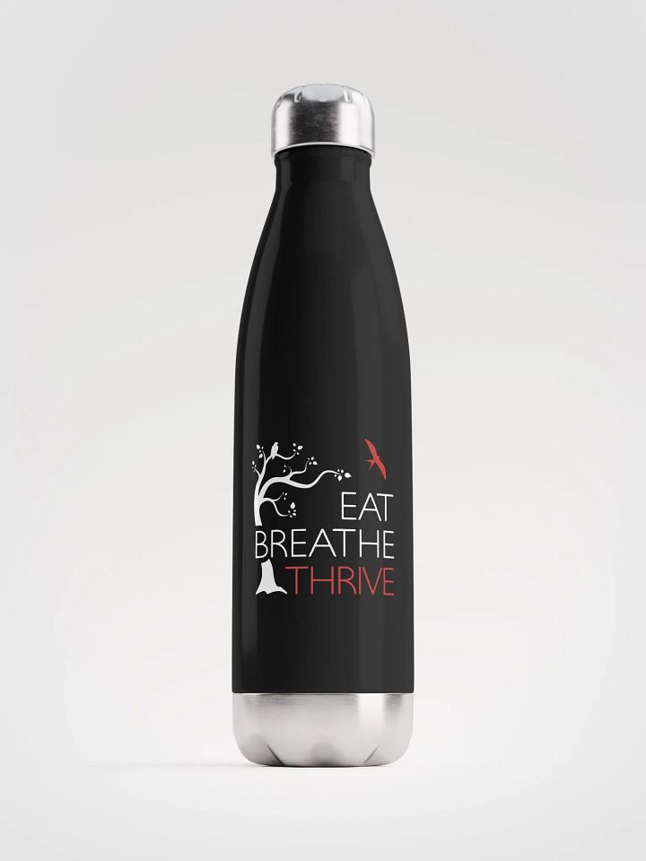 EBT water bottle | black product image (1)
