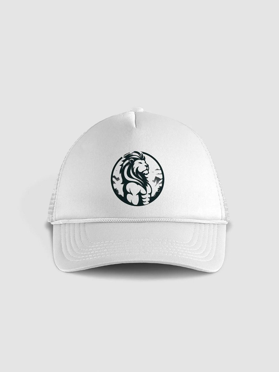 Llion product image (1)