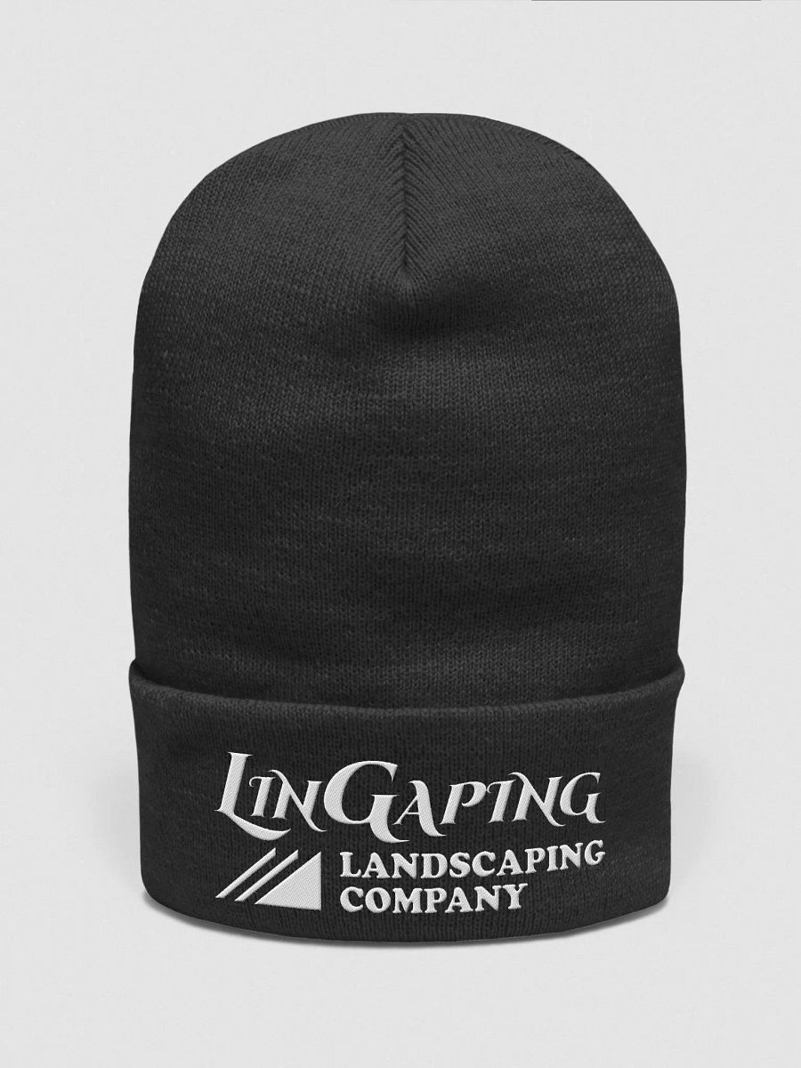 LLC cuffed beanie product image (2)