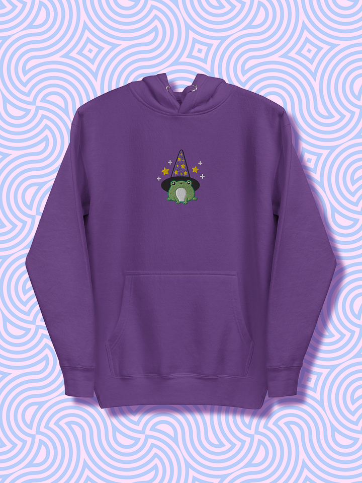 Enchanted Frog Wizard Embroidered Unisex Hoodie product image (2)